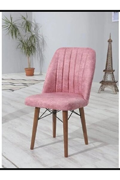 Kaktüs Avm 4'lü Mutfak Sandalyesi Salon Sandalyesi Yemek Odası Sandalyesi 4 A...