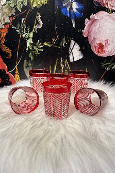 Lemm Home Palm Kırmızı 6 Lı Bardak Seti