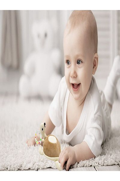 Babyjem قهوة السلحفاة الخشخيشة