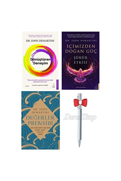 Destek Yayınları Dönüştüren Deneyim - Içimizden Doğan Güç - Değerler Prensibi...