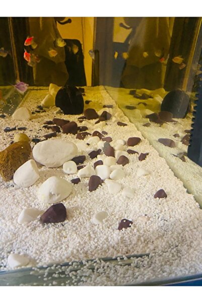 Doğal Garden Akvaryumn Kumu Beyaz Kalsit Silis Kum 5 Kg