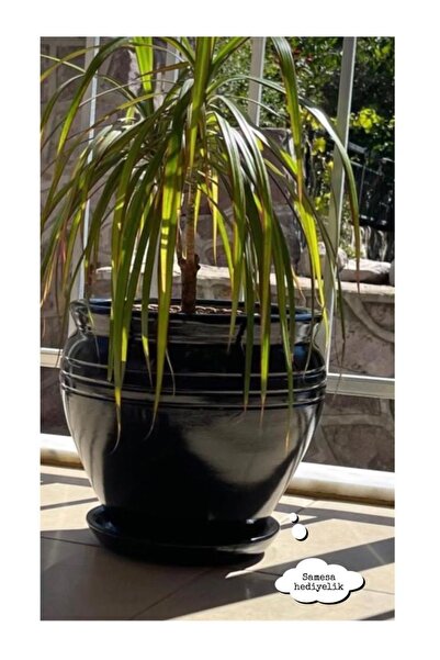 SAMESA HEDİYELİK Siyah Choker Büyük Toprak Saksı 26 X28 Cm