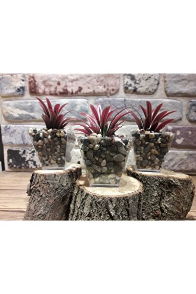 Süs ağacı 3’lü Çakıl Saksıda Yapay Yeşillik Kırmızı 6cm X 10 Cm