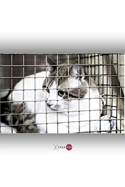 ERSA DEMİR ÇELİK Ersatel Hasır Tel 2,50 Mm X 2*2 Cm X 100x200 Cm - Kaynaklı - Tarım, Bahçe, Inşaat, Kümes, Kafes