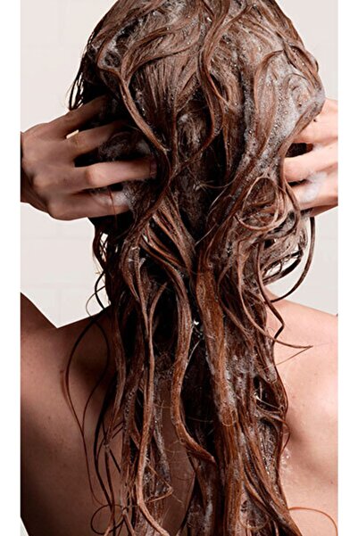 Aveda Botanical Repair Yıpranmış Saçlar için Onarım Şampuanı 50ml 18084019474