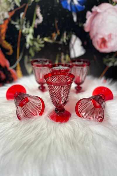 Lemm Home Palm Kırmızı 6 Lı Kadeh Seti