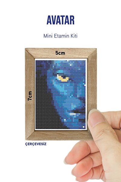 Duxud Avatar Dmc Muline Çerçevesiz Minyatür Etamin Kiti 10x10cm