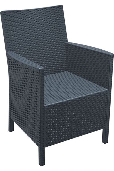 Siesta California Koltuk/sandalye