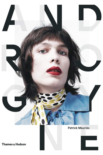 Thames & Hudson Androgyne : Une Image De Mode Et Sa Mémoire (fransızca) Ciltli Kapak