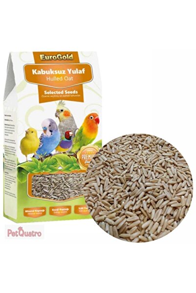 EuroGold Kabuksuz Yulaf 300 gr