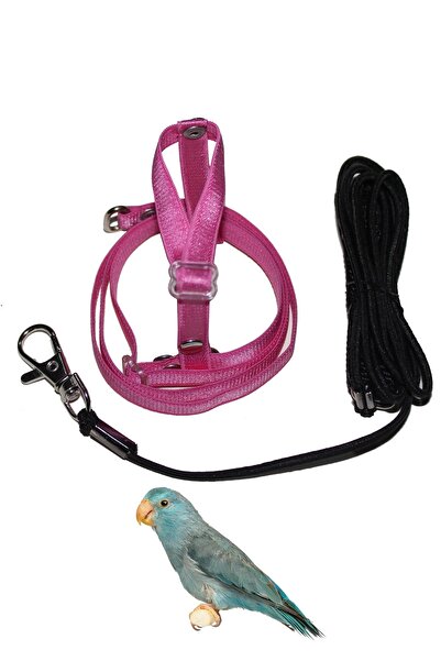 Petcalvit Forpus Papağan Tasması Elastik Pembe