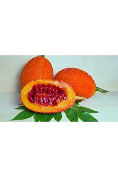 Agrobazaar Kudret Narı Tohumu 25+ Tohum