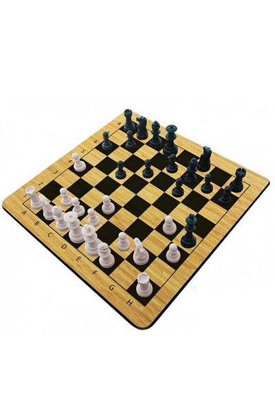 Ritoys Wooden Color Chess Set