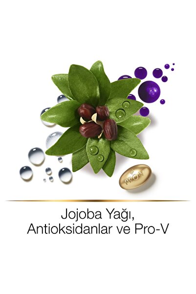 Pantene Hair Biology Turunculaşma Karşıtı Silver/ Mor Şampuan, Sarı Saçlar İçin, 250ml x2