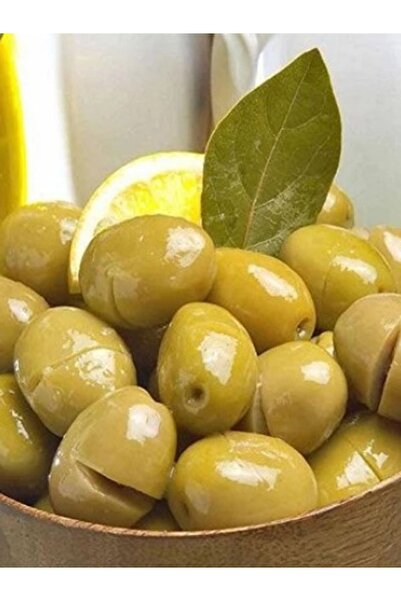 Genel Markalar 10 Adet Ayvalık Edremit Zeytin Fidanı Tüplü Yaş 1 Boy 1,5 Metre