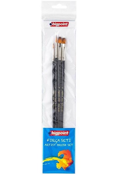 Bigpoint 200 Series Synthetic Bristle Long Handle Mixed Tip Brush Set 4 Pieces Blister