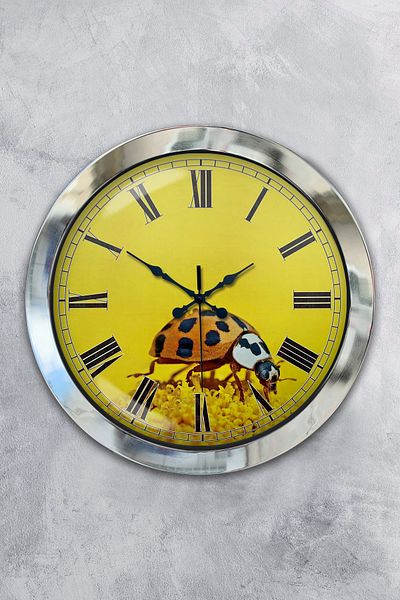 Kasva Concept Gift 36 cm Chrome Metal Ladybug Wall Clock