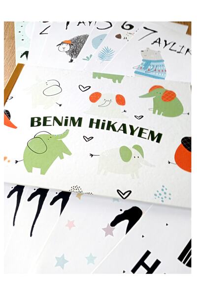 NATUREL Pregnancy And Mother & Baby Diary Pen + Sticker + Memory Cards