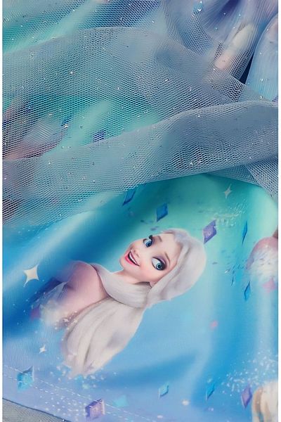 Pink Hippo Kids Φόρεμα από τούλι με στάμπα για κορίτσια Frozen Elsa