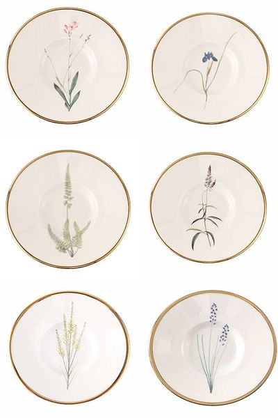 Porland Botanical Tea Plate 11cm Mixed 6 Pieces