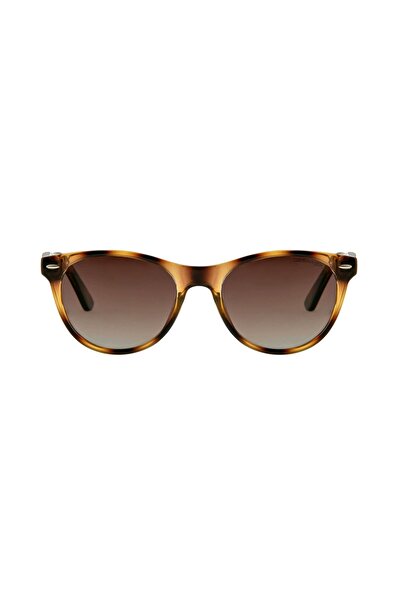 Despada Ds-2218 C2 53/20-148 Sunglasses