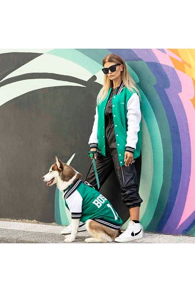 Lindodogs Boston Small, Medium and Large Breed Dog Sweatshirt