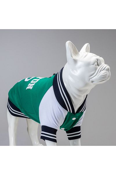 Lindodogs Boston Small, Medium and Large Breed Dog Sweatshirt