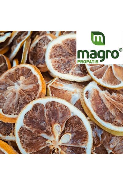 Propatis Magro Limon Kurusu Dilimleri 100gr
