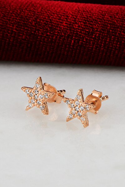 Bilsen Store 925 Ayar Gümüş Rose Kaplama Beyaz Taşlı Yıldız Modeli Küpe