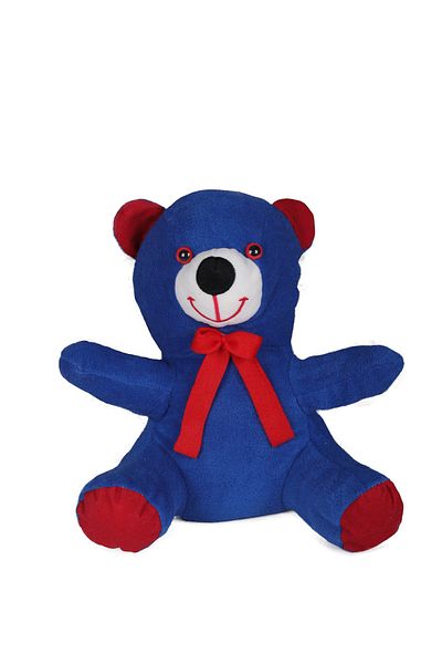 Kudi 40 Cm - Small Plush Teddy Bear (100% DOMESTIC) (POLAR FABRIC)