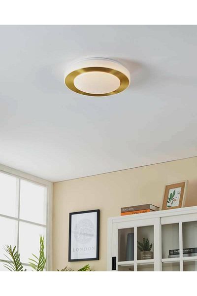 Eglo 900369   White Colored Cast Steel Wall - Led Carp, Brushed Brass Ceiling Lamp