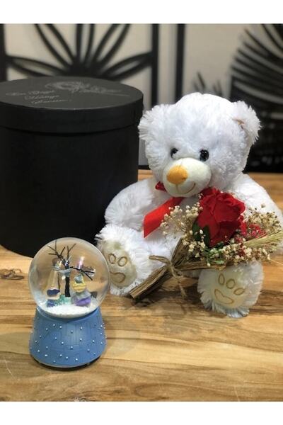 Masalsı Concept Peluş Ayıcık,gül Demeti,kar Küresi Silindir Kutuda Sevgililer...