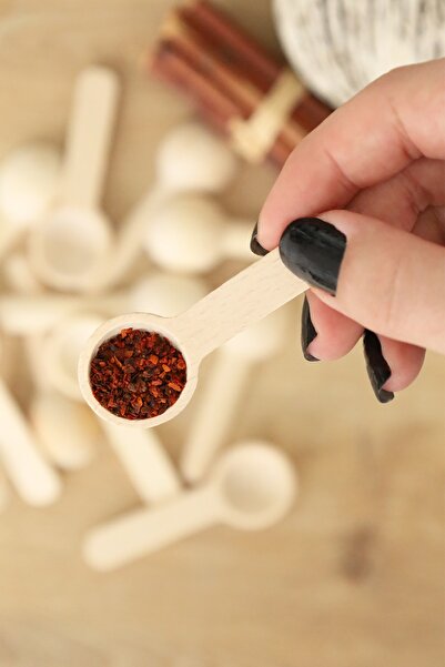 DNS HOME Set of 6 Small Spice Spoons