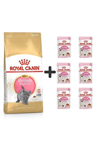 Royal Canin Kitten British Shorthair Yavru Kedi Maması 2 Kg + 6 Adet Yaş Mama
