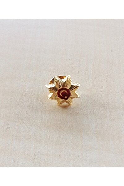 SANAT TACİRİ Polis Rozeti Yıldız Rozet Ayyıldız Polis Rozeti