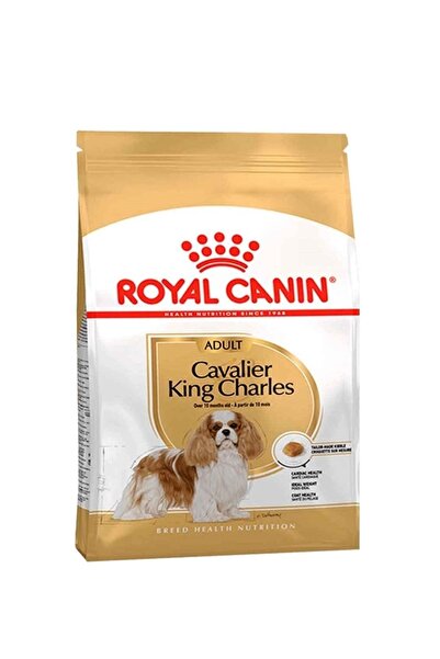 Royal Canin Cavalier King Charles Adult Köpek Mamasi 1,5 Kg
