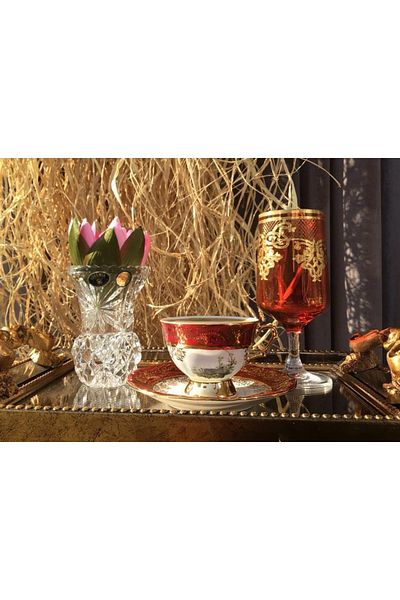 NİŞANTAŞI HOME King Handmade Chekoslavak Zvırata Claret Red Coffee Cup Set of 6