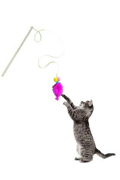 EveryPet Economical Short Handle Cat Game Fishing Rod