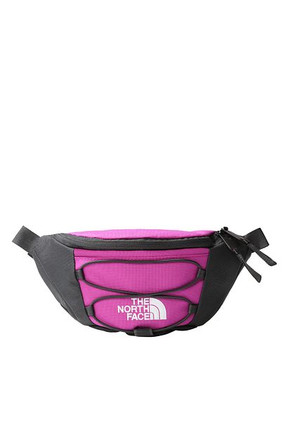 Mens bum bag north face sale