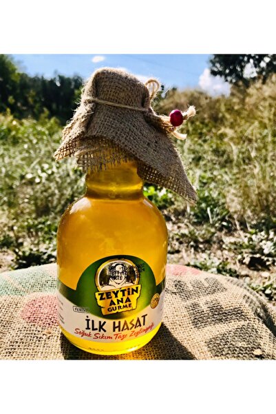 ZEYTİN ANA Ilk Hasat Soğuk Sıkım Zeytinyağı 500 ml Galon