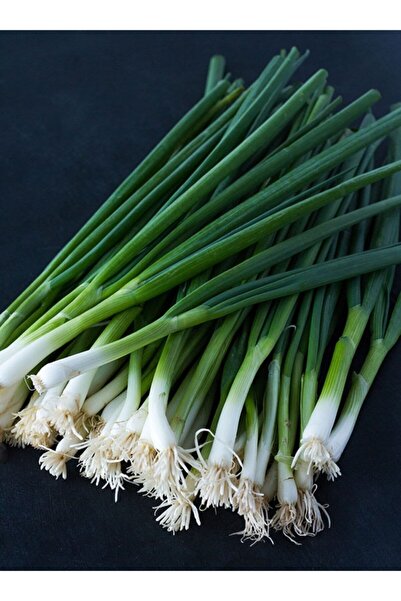 LİFE Drip Life 500 Adet Yeşil Soğan Tohumu