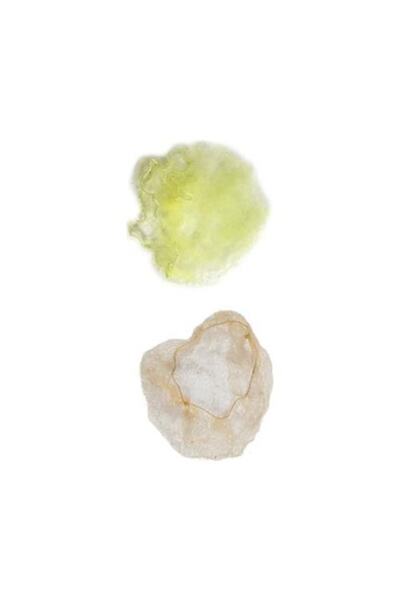 Trina Saç Filesi Sarı Ince -072