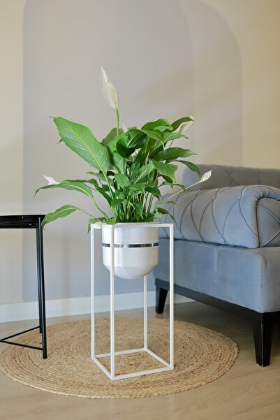 Genel Markalar Metal Saksı Ayaklı Çiçeklik Dekoratif Beyaz Gümüş Detaylı Saks...