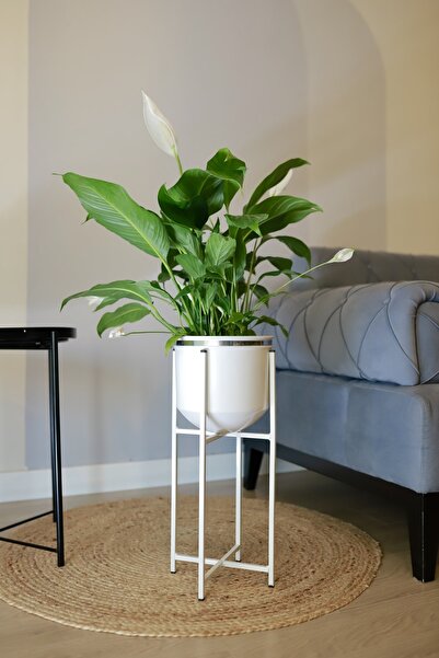 Genel Markalar Metal Saksı Ayaklı Çiçeklik Dekoratif Beyaz Gümüş Detay Saksı ...