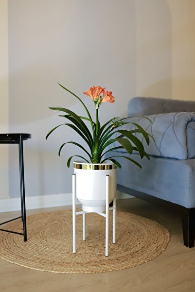 Genel Markalar Metal Saksı Ayaklı Dekoratif Çiçeklik Vazo Beyaz Gold Detaylı ...