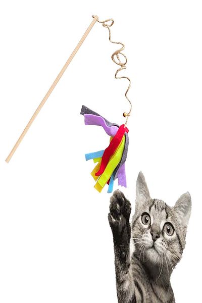 EveryPet Economical Jute String Cat Game Fishing Rod
