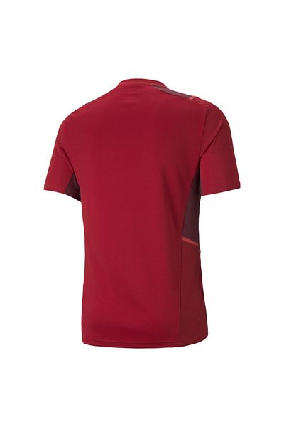 Puma Team Cup Erkek Çok Renkli Futbol Tişört 65673501