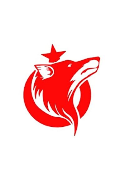 EYBA STİCKER معطف الأسلحة التركية العلم الذئب ملصق سيارة سيارة العلم التركي 1...