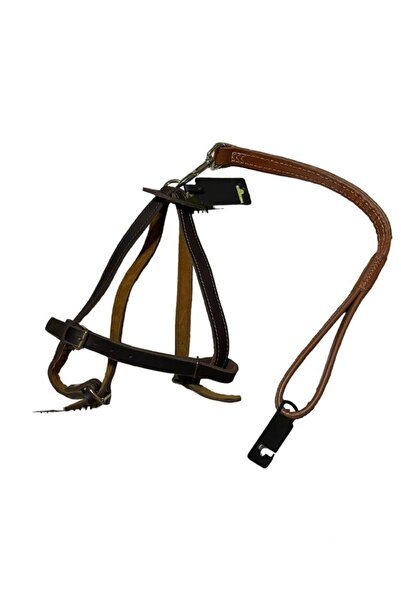 Biryirmi Köpek Gezdirme Göğüs Tasması Hakiki Deri Köpek Gezdirme Kayışı Orta Ve Büyük Irk Için Uygundur