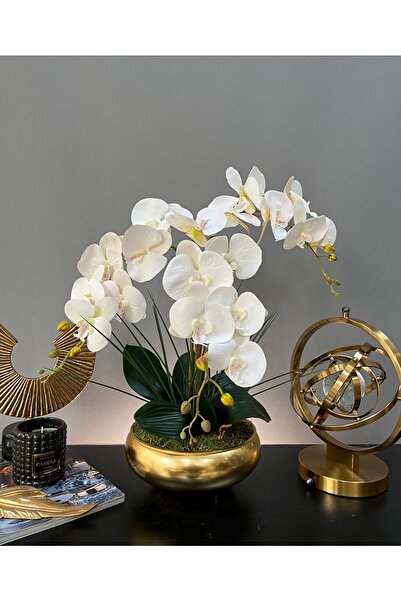 LİLOTEHOME Yapay Orkide 3 Dal Luxury Islak Beyaz Ufo Model Parlak Gold Renk S...